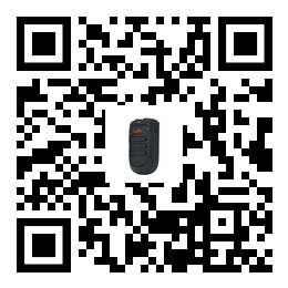 TH-P1 Factory hot sale handheld radio speaker microphone bluetooth wireless portable 