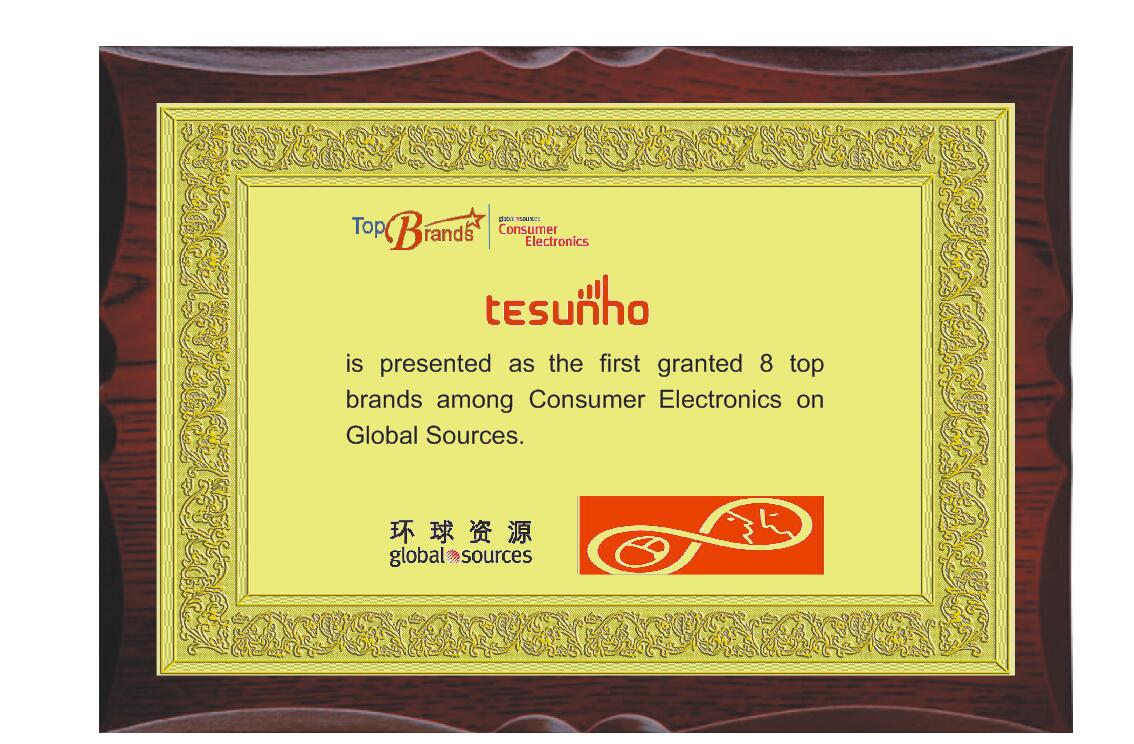 Top Brands Award To Tesunho